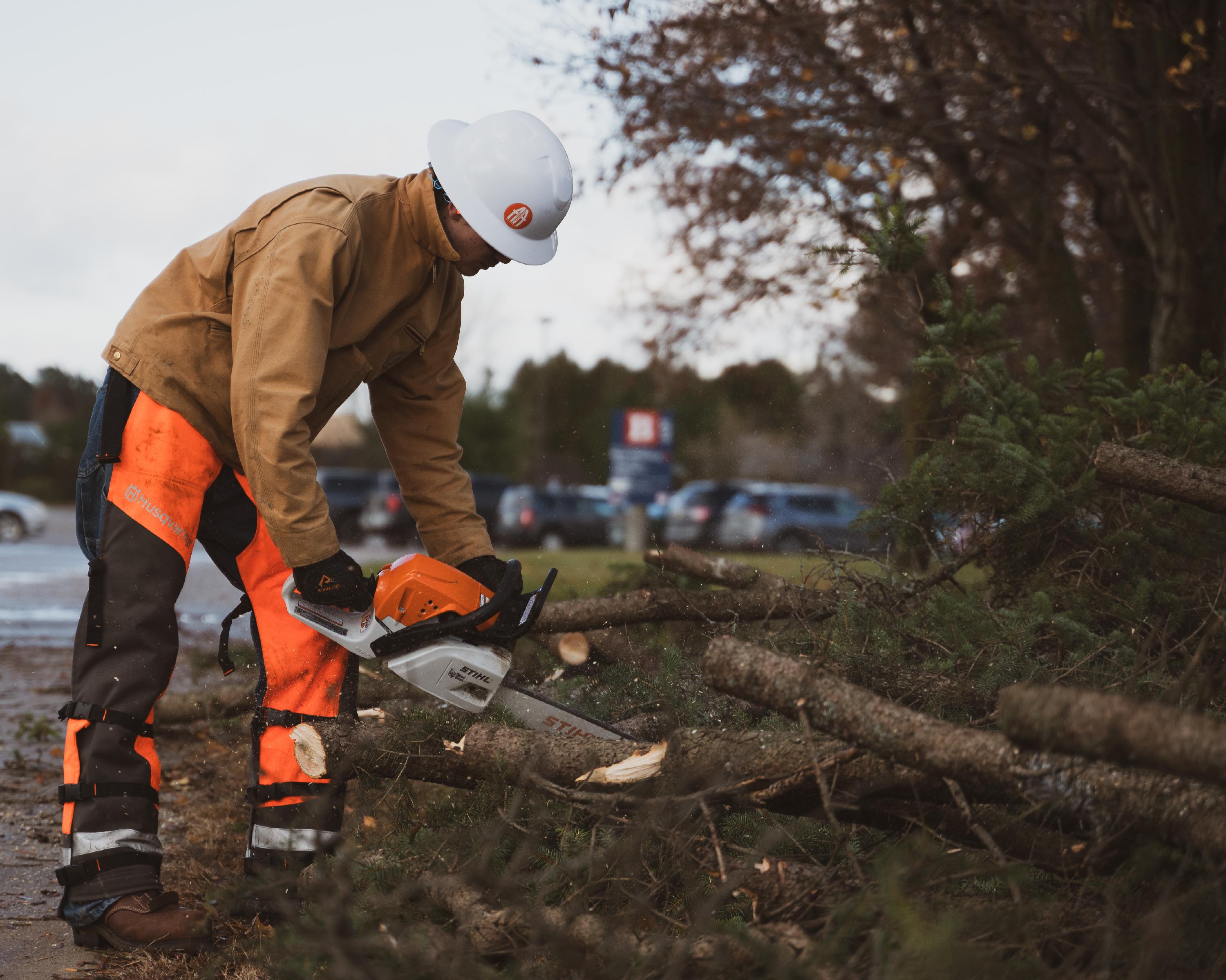 A student cuts through a log with a chainsaw